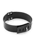 Black PVC Collar w/ D-Ring. Stockroom Originals.