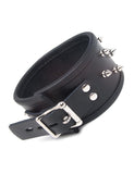 Alpha Dog Collar With Spikes-BDSM GEAR, BONDAGE RESTRAINTS, COLLARS & LEASHES-Male Stockroom