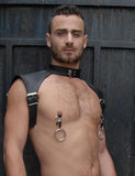 Bully Nipple Clamps-BDSM GEAR, NIPPLE TOYS-Male Stockroom