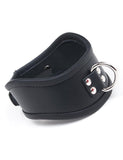 Curved Locking Posture Collar-BDSM GEAR, BONDAGE RESTRAINTS, COLLARS & LEASHES-Male Stockroom