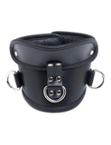 Deluxe Padded Leather Posture Collar w/ D Rings