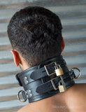 Deluxe Padded Leather Posture Collar w/ D Rings