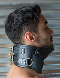 Deluxe Padded Leather Posture Collar w/ D Rings