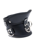 Deluxe Padded Leather Posture Collar w/ D Rings