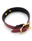 JT Signature Collection Collar