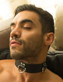 Locking 3 D-ring Leather Collar  BDSM GEAR BONDAGE RESTRAINTS