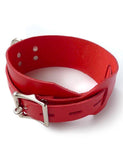 Red Deluxe Buckling Collar - Male Stockroom