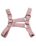 Stupid Cute Bulldog Harness