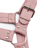 Stupid Cute Bulldog Harness