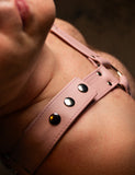 Stupid Cute Bulldog Harness