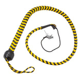 A coiled whip on a white background. It's braided with alternating black and yelllow strips of leather. 
