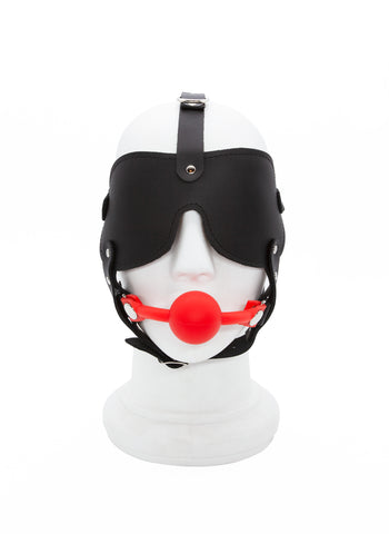 Silicone Ball Gag and Blindfold Head Harness