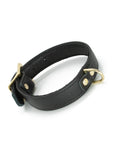 Garment Leather Collar with Brass Gold Hardware