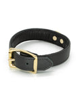 Garment Leather Collar with Brass Gold Hardware