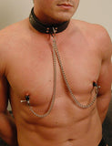 Buckling Collar w/Nipple Clamps-BDSM GEAR, BONDAGE RESTRAINTS, COLLARS & LEASHES, NIPPLE TOYS-Male Stockroom