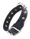 Leather Locking Collar with Spikes-BDSM GEAR, BONDAGE RESTRAINTS, COLLARS & LEASHES-Male Stockroom