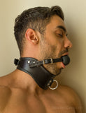 Posture Collar with Silicone Ball Gag-BDSM GEAR, BONDAGE RESTRAINTS, COLLARS & LEASHES, GAGS & MUZZLES-Male Stockroom