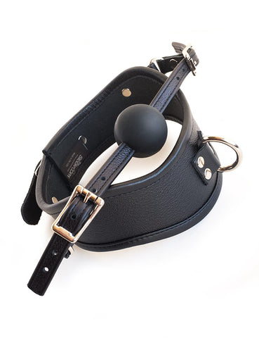 Posture Collar with Silicone Ball Gag-BDSM GEAR, BONDAGE RESTRAINTS, COLLARS & LEASHES, GAGS & MUZZLES-Male Stockroom
