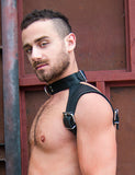 The Combat Harness