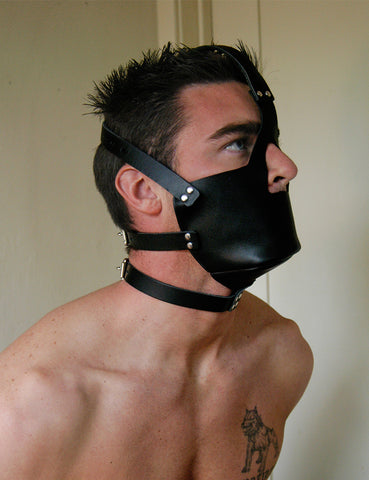 Vondage Head Harness with Muzzle